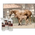 thumbnail image 5 of UltraCruz Equine Horse Shampoo and Conditioner Bundle, 32 oz each with 16 oz Detangler, 5 of 6