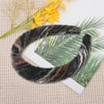 thumbnail image 6 of Unique Bargains 1 Pc Caramel Maillard Rainbow Braided Headbands Black Brown, 6 of 6