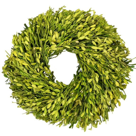Northlight Green Foliage Artificial Spring Wreath - 11" - Unlit