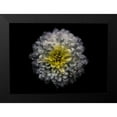 thumbnail image 2 of Carson, Brian 24x18 Black Modern Framed Museum Art Print Titled - Backyard Flowers 46, 2 of 5