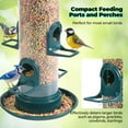 thumbnail image 4 of Naipo Tube Bird Feeders for Outdoors Hanging, Squirrel Proof Wild Bird Feeders with 4 Feeding Ports, Attract a Variety of Hummingbird, Garden Yard Decoration, 4 of 10