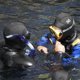 thumbnail image 2 of Capucha de buceo de neopreno térmico de 3 mm Sombrero de traje de neopreno Gorro de buceo cálido, 2 of 8