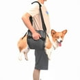 thumbnail image 1 of Arnés de Transporte para Perros Coodeo M Negro para Perros Mayores con Soporte, 1 of 6