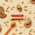 Larabar Peanut Butter Cookie, TMA3 Gluten Free Vegan Fruit & Nut Bars