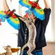 thumbnail image 2 of GOOHOCHY 1 set Simulation Bird Cat Toy Flying Bird Bird Toy Interactive Toy para gats gatitos, 2 of 8