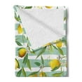 thumbnail image 2 of Nature Soft Flannel Fleece Throw Blanket, Blooming Lemon Tree on Striped Paintbrush Background Evergreen Art, Cozy Plush for Indoor and Outdoor Use, 70" x 90", Fern Green Seafoam, by Ambesonne, 2 of 5