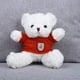 thumbnail image 1 of Osito de peluche que graba, muñeco parlante, muñeco de tela, lindo oso de abrazo, muñeco para niñas, 1 of 6