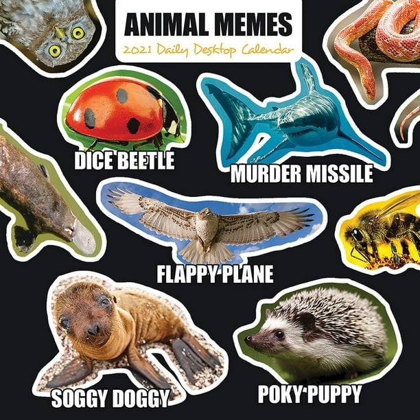 2021 Animal Memes 5.5"x5.5" Daily Desktop Calendar ...