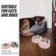 thumbnail image 5 of GOOHOCHY Comedero de acero inoxidable para gatos, antideslizante, doble plato, para perros, estación de alimentación elevada para gatitos y cachorros pequeños., 5 of 8