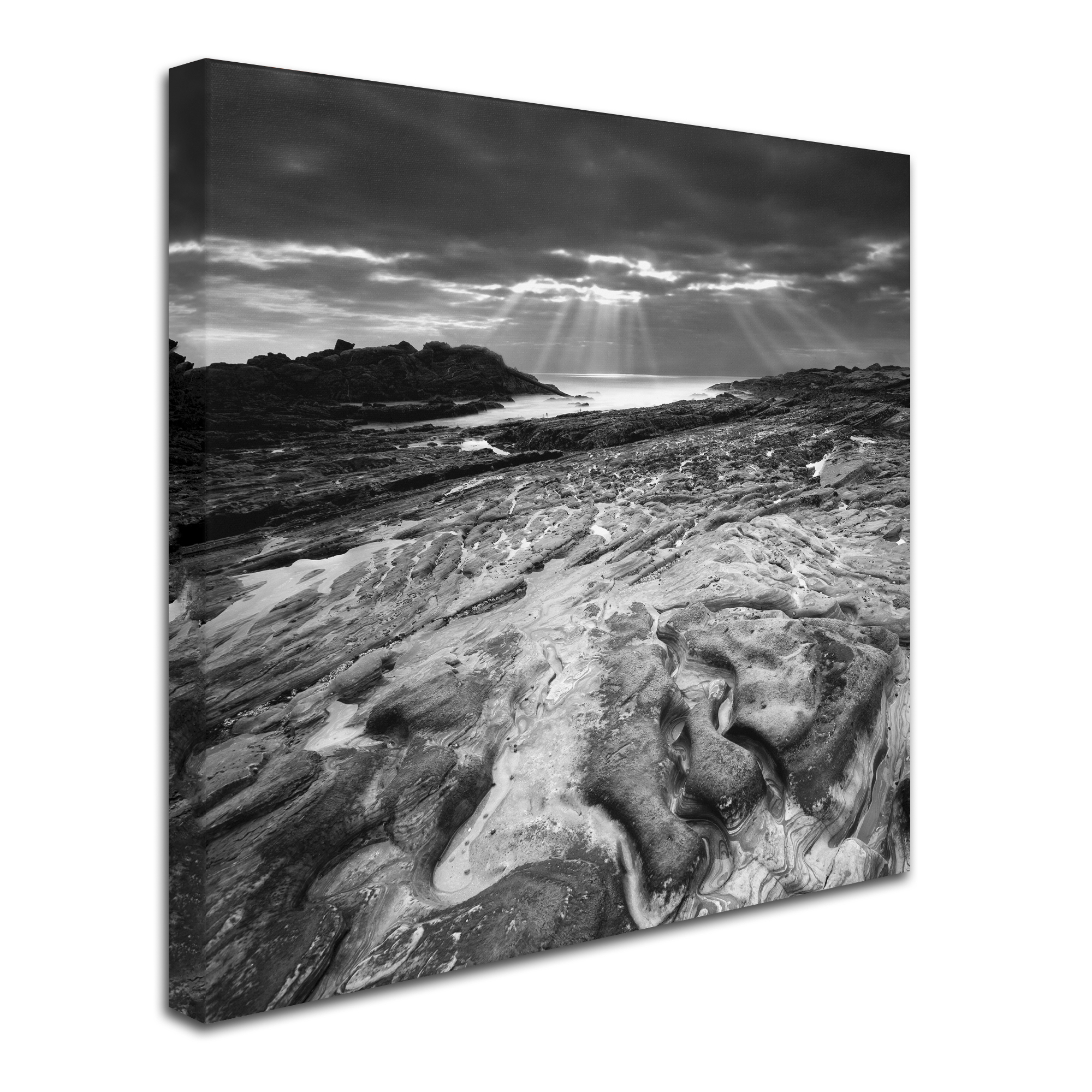 Trademark Fine Art "Sunset at Point Lobos" Canvas Art by Moises Levy
