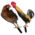 thumbnail image 2 of 2Pcs Garden Chicken Stakes Assorted Color Realistic Appearance Durable Acrylic Material For Outdoor Courtyard, 2 of 8