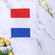 thumbnail image 4 of EeaseMX 50 banderas pequeñas de Francia para sujetar con palo, banderas internacionales de países del mundo, decoración para fiestas., 4 of 7