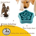 thumbnail image 4 of Pet Feeding Bowl, Slow Healthy Feeder, Prevent Gulping, Choking, 4 of 5