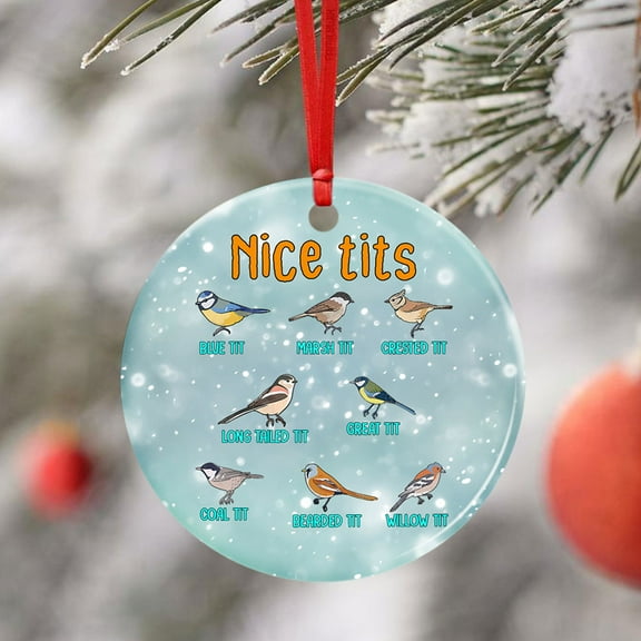 Flagwix Christmas Ornaments|Christmas Tree Decoration| Nice Tits. Watching Small Birding Christmas|Christmas Gifts, Ceramic Ornaments With Ribbon - Circle, 1 Pcs