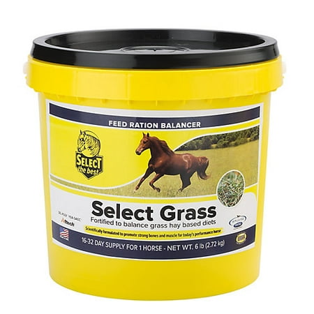 Select the Best Select Grass 6lb (Best Grass Seed For Ontario)