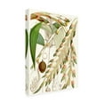 thumbnail image 2 of Trademark Fine Art 'Tropical Variety I' Canvas Art by Curtis, 2 of 3