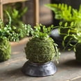 thumbnail image 6 of Mossy Meadow Foam Ball, 6 of 10