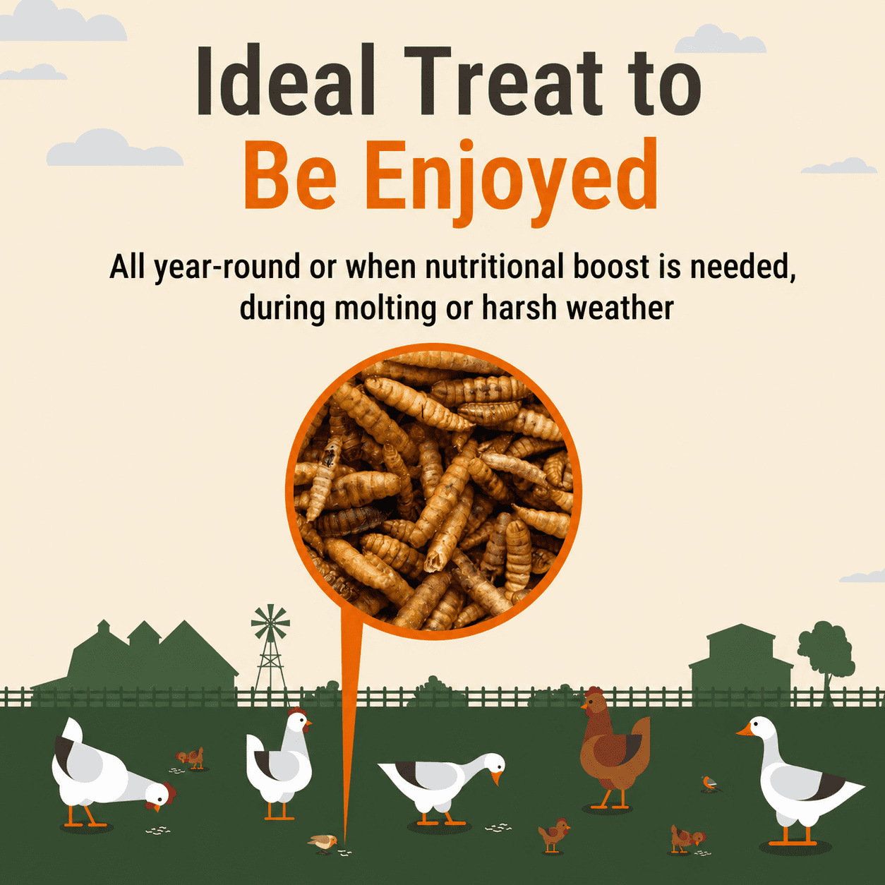 Supreme Grubs Dried Black Soldier Fly Larvae Chicken Treats 5LB – High Calcium, Protein-Rich, All-Natural Poultry Feed Supplement