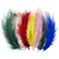 thumbnail image 1 of LAICAIW 200pcs 4-6 Inches Fluffy Turkey Marabou Feathers for Crafts Dreamcatcher Fringe Trim Colored Feathers Accessories Pack (Color Mixing), 1 of 7