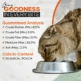 thumbnail image 4 of Scoochie Pet Chef Scoochies Recipe Variety Pack With Real Chunky Seafood in Savory Gravy Wet Cat Food, 12-oz pouch, case of 12, 4 of 6