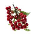 thumbnail image 2 of Modelo de comida de fruta Cherry Rojo Artificial Zulema, 2 of 6