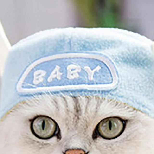 Sombrero para gatos, sombrero para mascotas, gorro ligero para perros y gatos, el mejor de su clase