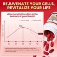 thumbnail image 5 of Urolithin A Supplement Capsules - Pomegranate, Trans-Resveratrol & Grape Seed Extract - Supports Mitochondrial Health & Healthy Aging, Gut Health Support - 240 Capsules, 5 of 9
