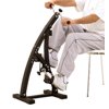 BetaFlex HomePhysio Malibu Dual Bike