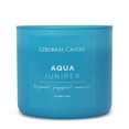 Colonial Candle Aqua Juniper 3 Wick Candle, 14.5 oz, Blue - Walmart.com