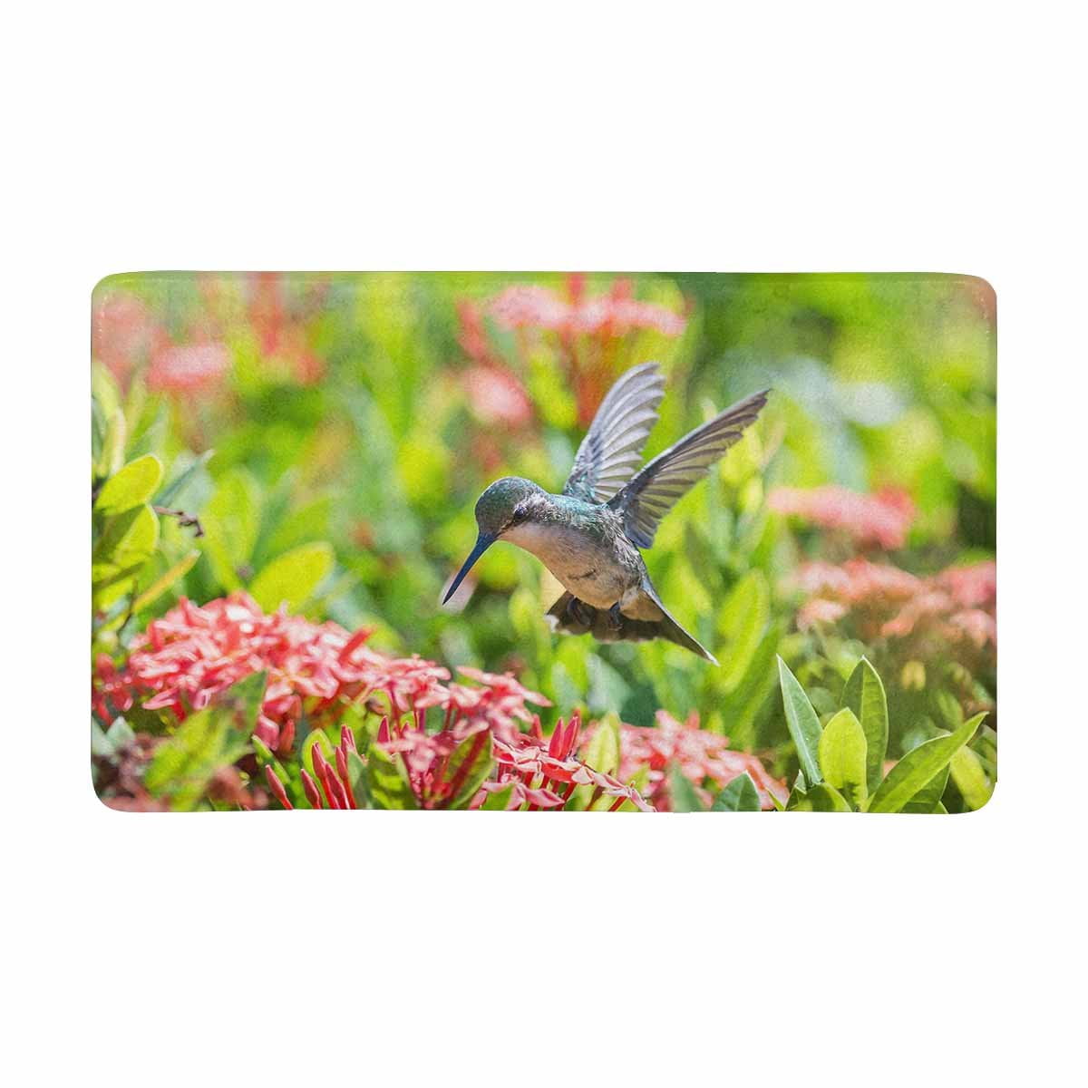 MKHERT Beautiful Hummingbird Feeding Red Flowers Doormat Rug Home Decor
