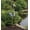Crane, variant on Regal Art & Gift Goofy Bird Stake - Heron Metal 45" Statue Garden