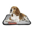 thumbnail image 2 of PKQWTM London Big Ben Telephone Booth Pet Dog Cat Bed Pee Pads Mat Cushion Potty Dogsblankets Crate Bed Kennel 14x18 inch, 2 of 3
