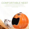 thumbnail image 3 of ZZ Ceramic Hamster House Pumpkin Shaped Hamster Nest Ceramic Small Pet Hideout Chinchilla, 3 of 7