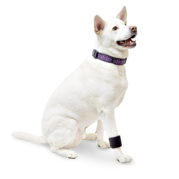 Wrist Wrap Dog Brace for Front Leg Joint Support for Dogs Helps