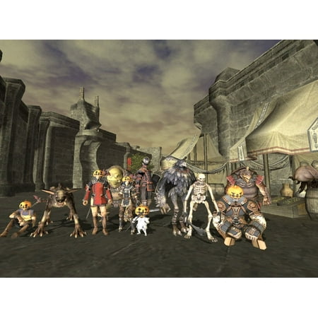 Final Fantasy XI: Chains of Promathia Expansion Pack PS2