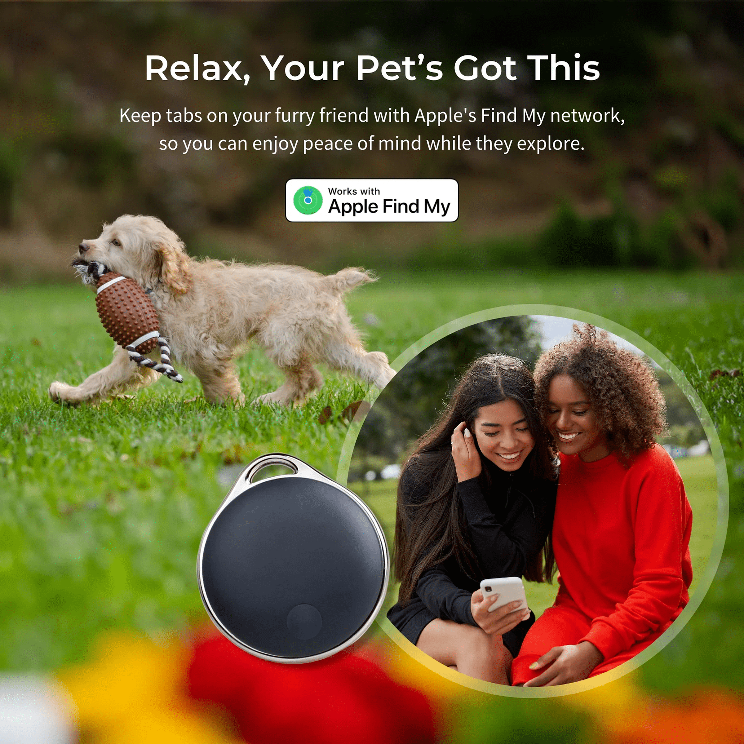 NIJITAG Smart Item Finder with Dog Collar case By LINKSTYLE — Unlimited Range with Apple Find My Network, Waterproof, No Subscription needed, iOS Only (3-Smart Tags + 1-Case)