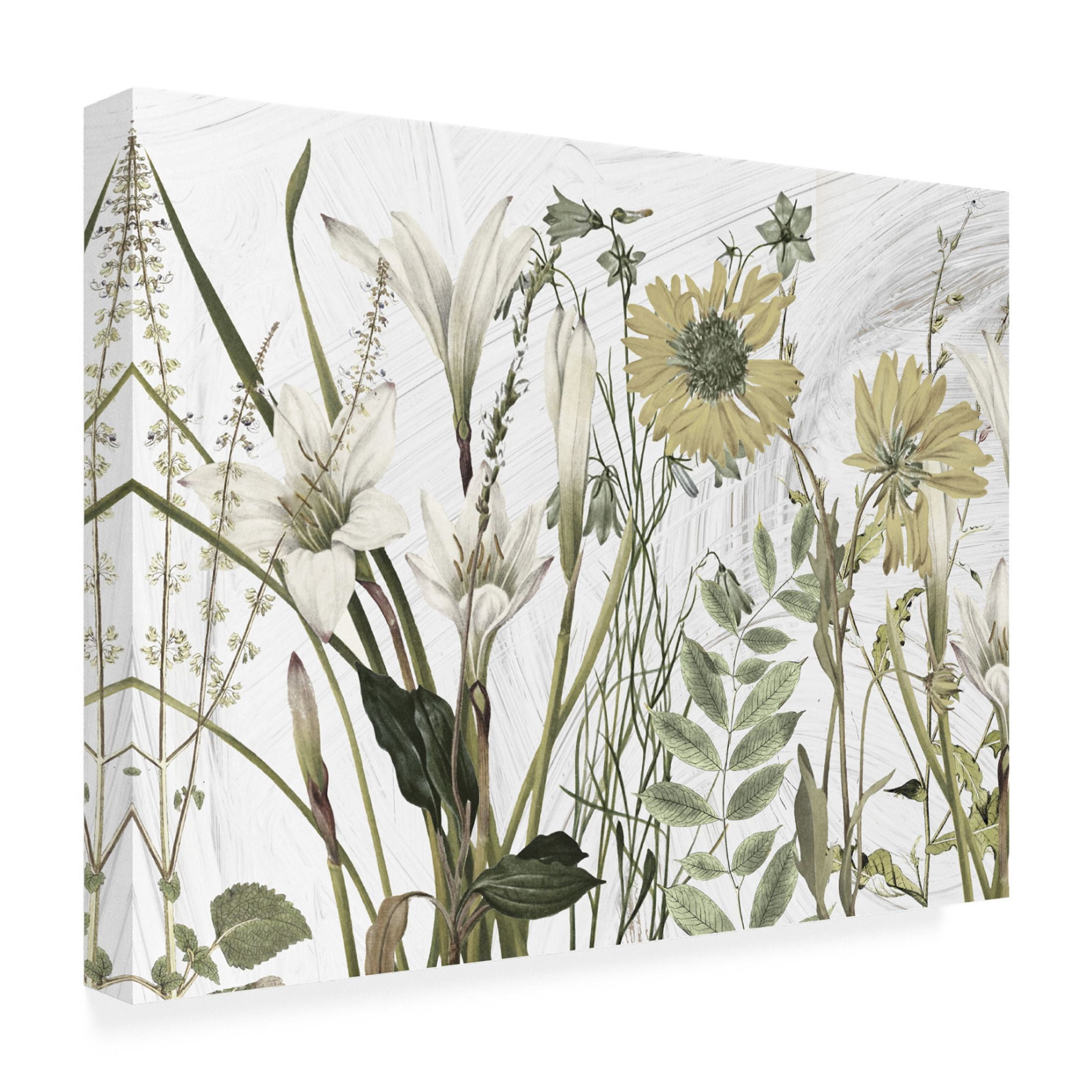 Canvas Wall Art - Sasha 'All Dressed Up I' Wall Art for Living Room, Bedroom, or Office Décor by Trademark Fine Art - 24 x 18 Inches