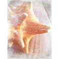 thumbnail image 3 of Saghini, Lisa Hill 12x14 Black Modern Framed Museum Art Print Titled - Conch II, 3 of 5