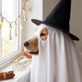 thumbnail image 5 of Dog Halloween Clothes Set, Ghost Cape & Witch Hat, Polyester Pet Outfit, White, 5 of 6