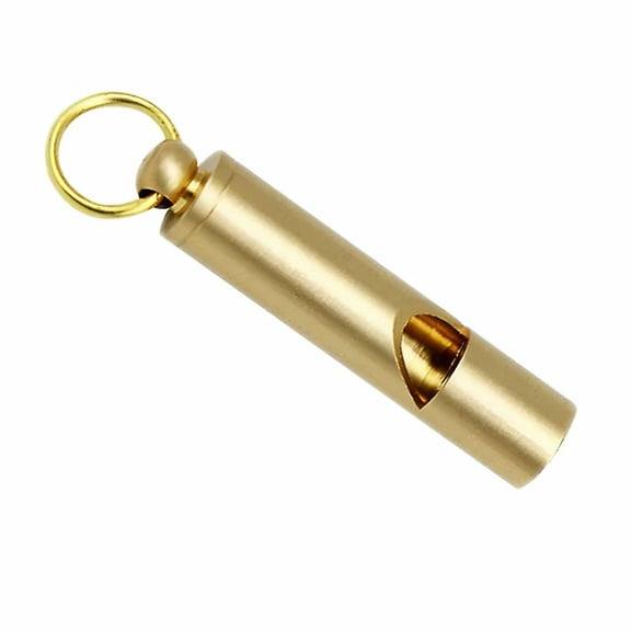 BESTSKY Dog Training Whistle Dog Birds Metal Training Whistle Aluminum Alloy Ultrasonic Dog Birds Training Whistle Behavior Trainer For Obedience And Recall