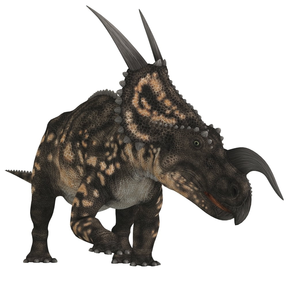 dinosaur that starts with t