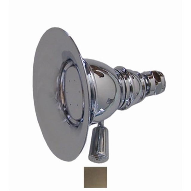 Whitehaus Collection WHOSA30-4.3-BN Douchette Ronde avec Trous de Pulvérisation - construction en Laiton Massif avec Joint à Rotule Réglable - Nickel Brossé