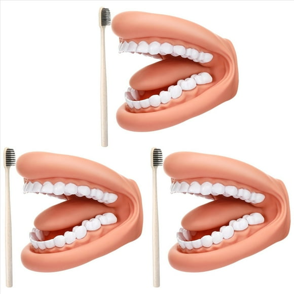 3 Piezas de Marioneta de Boca con Dientes de Lengua Boca Marioneta de Mano Modelo de Boca Dental con Cepillo de Dientes para Niño Niña Herramienta Educativa
