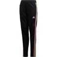 thumbnail image 1 of Adidas Niñas Tiro19 Training Athletic Track Pantalones, Negro, XL (16) Adidas Pista, 1 of 1