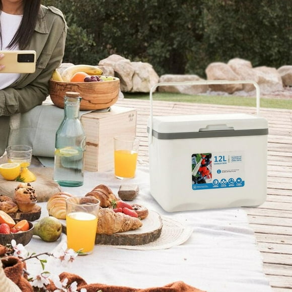 Refrigerador aislado del coche del congelador de la caja del refrigerador para la pesca al aire libre