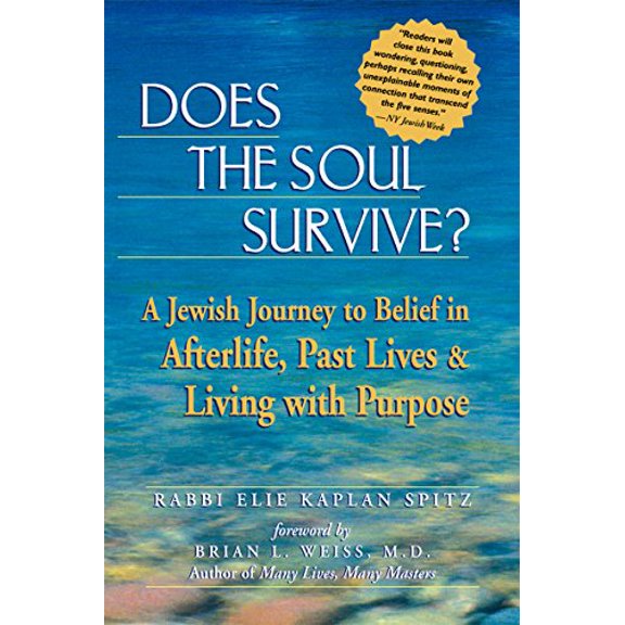 Pre-Owned Does the Soul Survive?: A Jewish Journey to Belief in Afterlife, Past Lives & Living with Purpose (Paperback) 1580231659 9781580231657