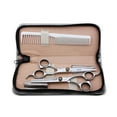 thumbnail image 1 of Professional Hair Cutting Scissors Set Stainless Steel Scissors Comb Kit, 1 of 8