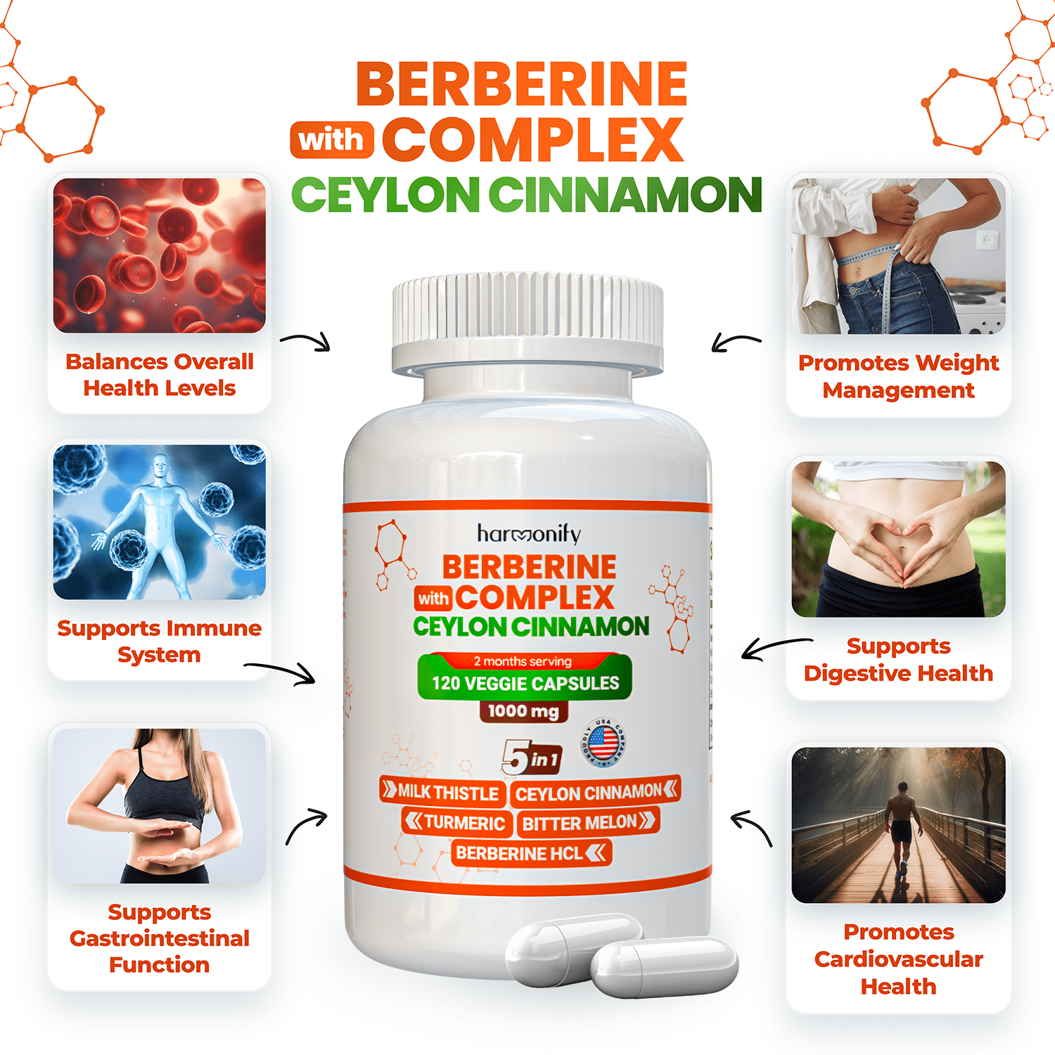 HARMONIFY Berberine with Ceylon Cinnamon, Pure Turmeric, Milk Thistle Bitter Melon, 5 in 1 Formula, 120 Purified Veggie Capsule 1000 Mg | Gluten Free, Non-Gmo