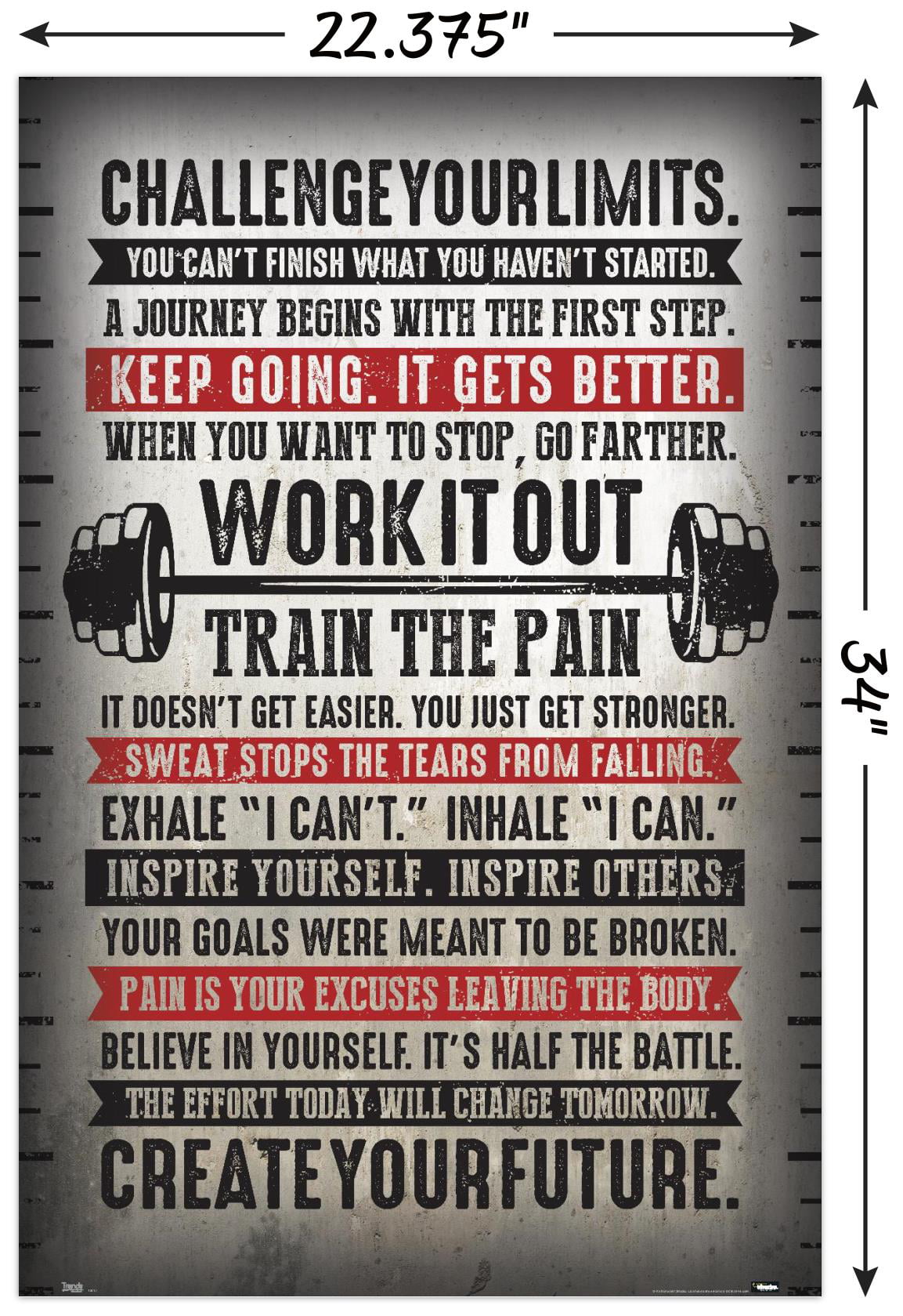 Motivation 375 Black White Inspiration Quote Poster Body Gym Sport Train 