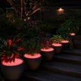 thumbnail image 6 of Arghm Colorful Luminous Garden Stones - Glow-in-the-Dark Pebbles for Pathways, Aquariums, and Decorations - Ideal for Landscaping, Fish Tanks, and Outdoor Ambiance, 6 of 6